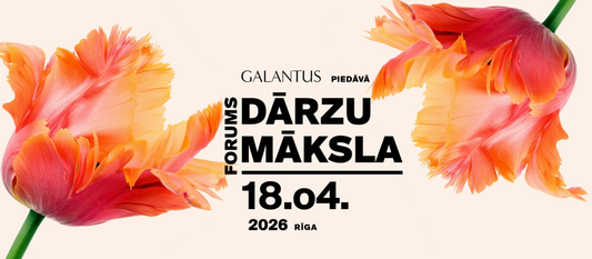 Forums “DĀRZU MĀKSLA 2026”